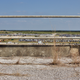 Texas World Speedway in 2017, dead weeds creeping through what used to be part of the grandstands, as flood cars were just beginning to arrive at the track.